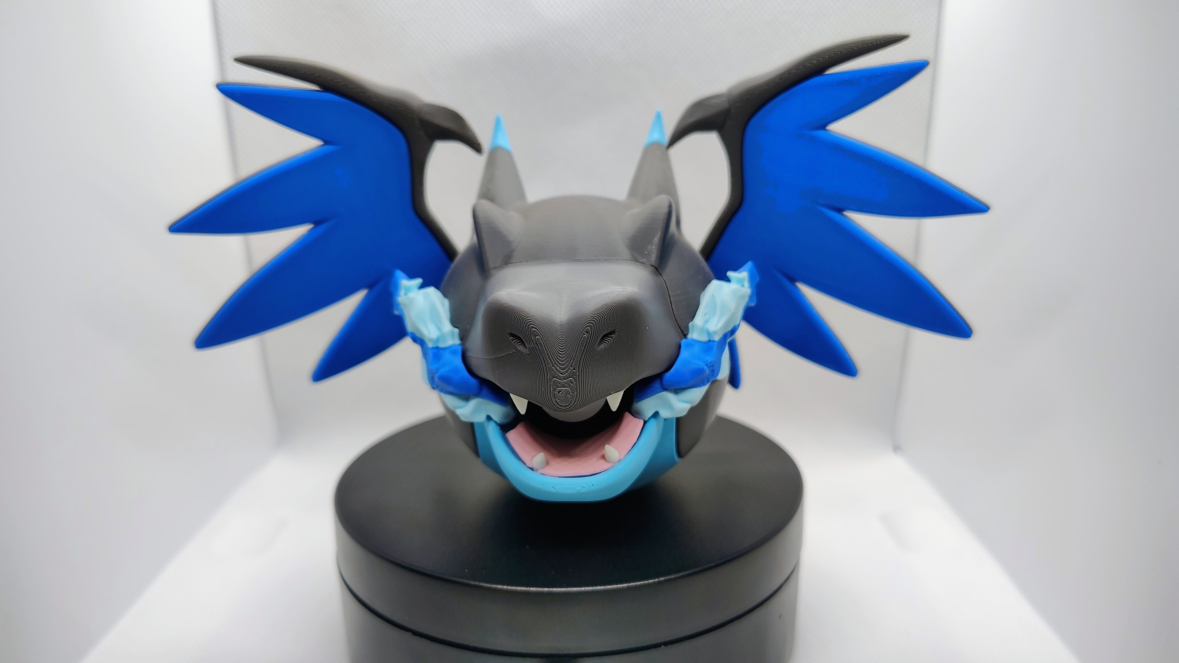 Mega Charizard X Themed Ball
